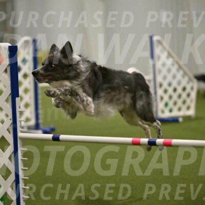 Grindylow-Robert-Rachow-03068
