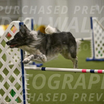 Grindylow-Robert-Rachow-03069