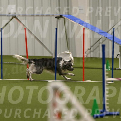 Grindylow-Robert-Rachow-03074