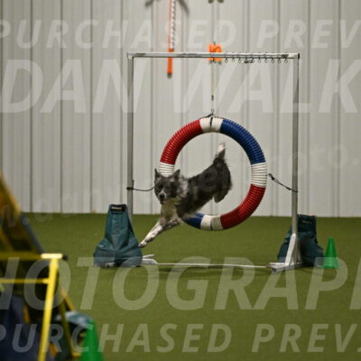 Grindylow-Robert-Rachow-03079
