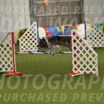 Grindylow-Robert-Rachow-03082