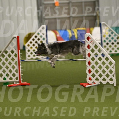 Grindylow-Robert-Rachow-03083