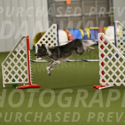 Grindylow-Robert-Rachow-03084