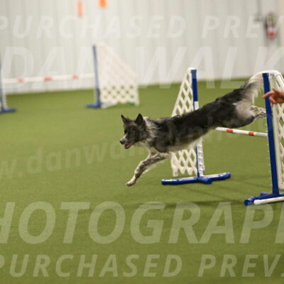 Grindylow-Robert-Rachow-03092
