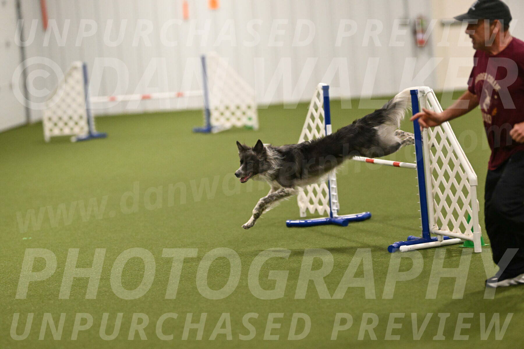 Grindylow-Robert-Rachow-03092
