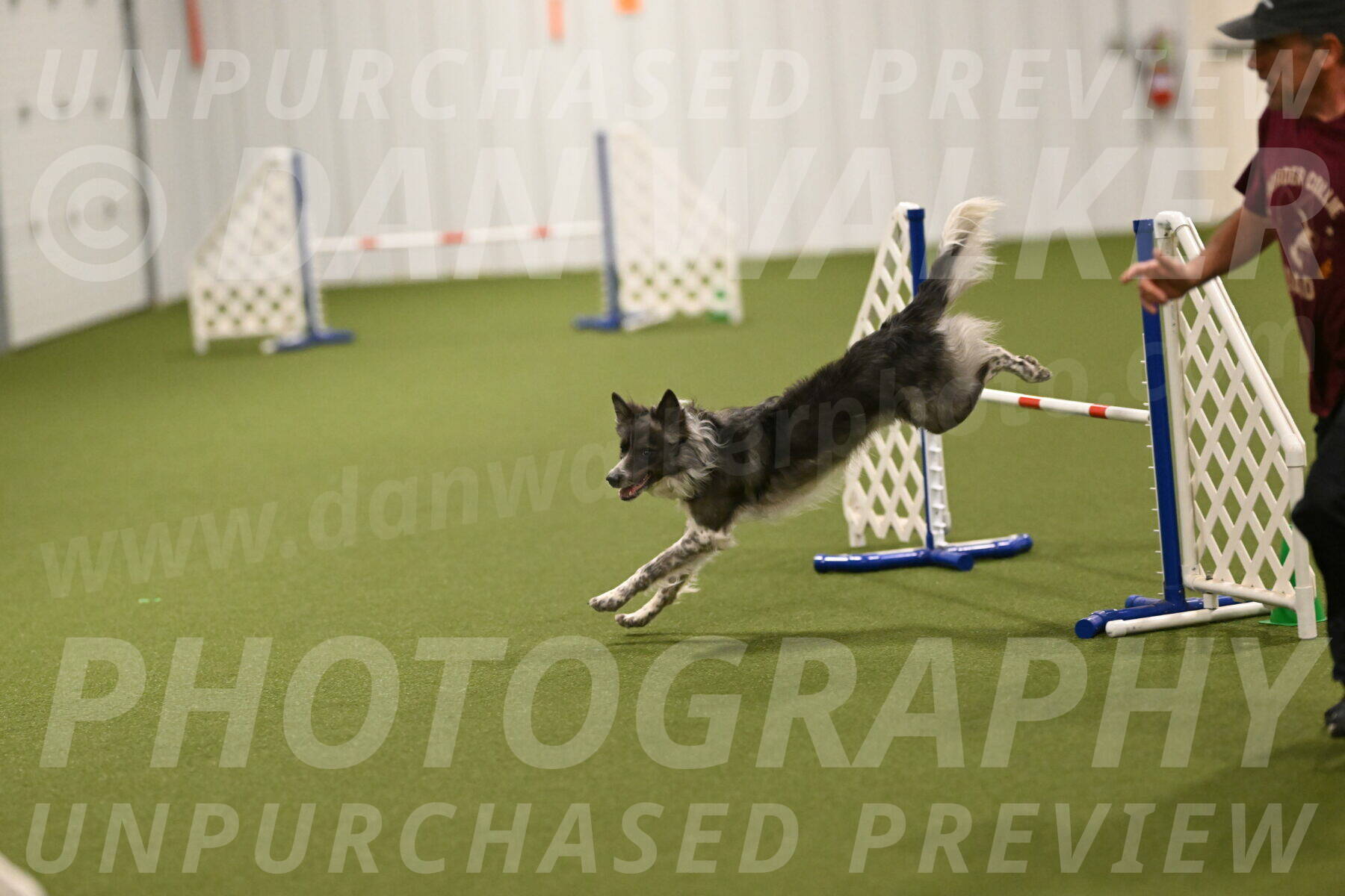 Grindylow-Robert-Rachow-03093