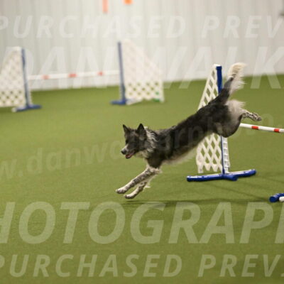 Grindylow-Robert-Rachow-03093