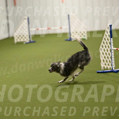 Grindylow-Robert-Rachow-03095