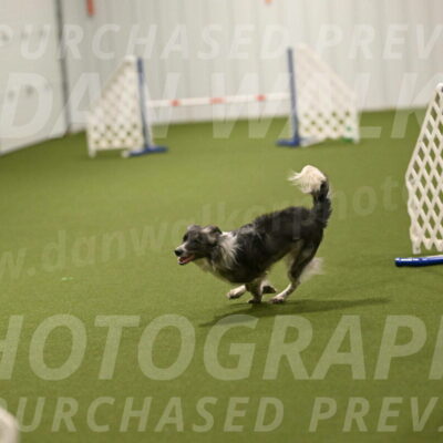 Grindylow-Robert-Rachow-03096