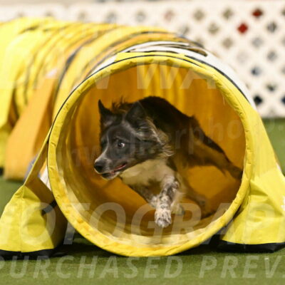 Grindylow-Robert-Rachow-03098