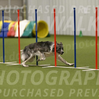 Grindylow-Robert-Rachow-03100
