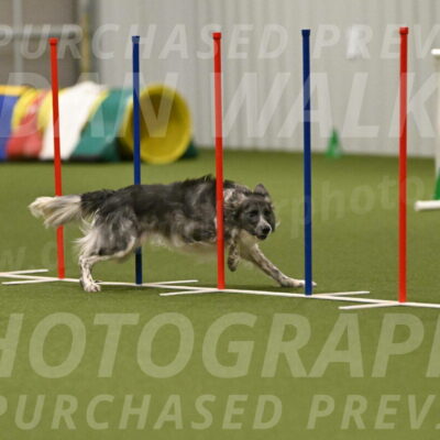 Grindylow-Robert-Rachow-03101
