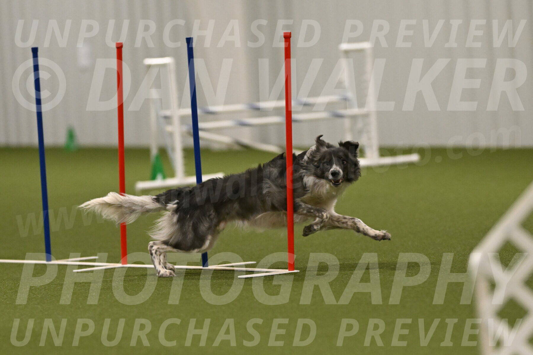 Grindylow-Robert-Rachow-03102