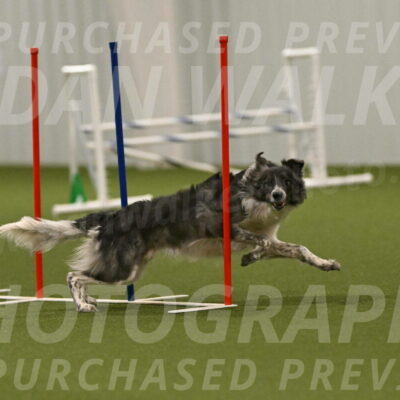 Grindylow-Robert-Rachow-03102