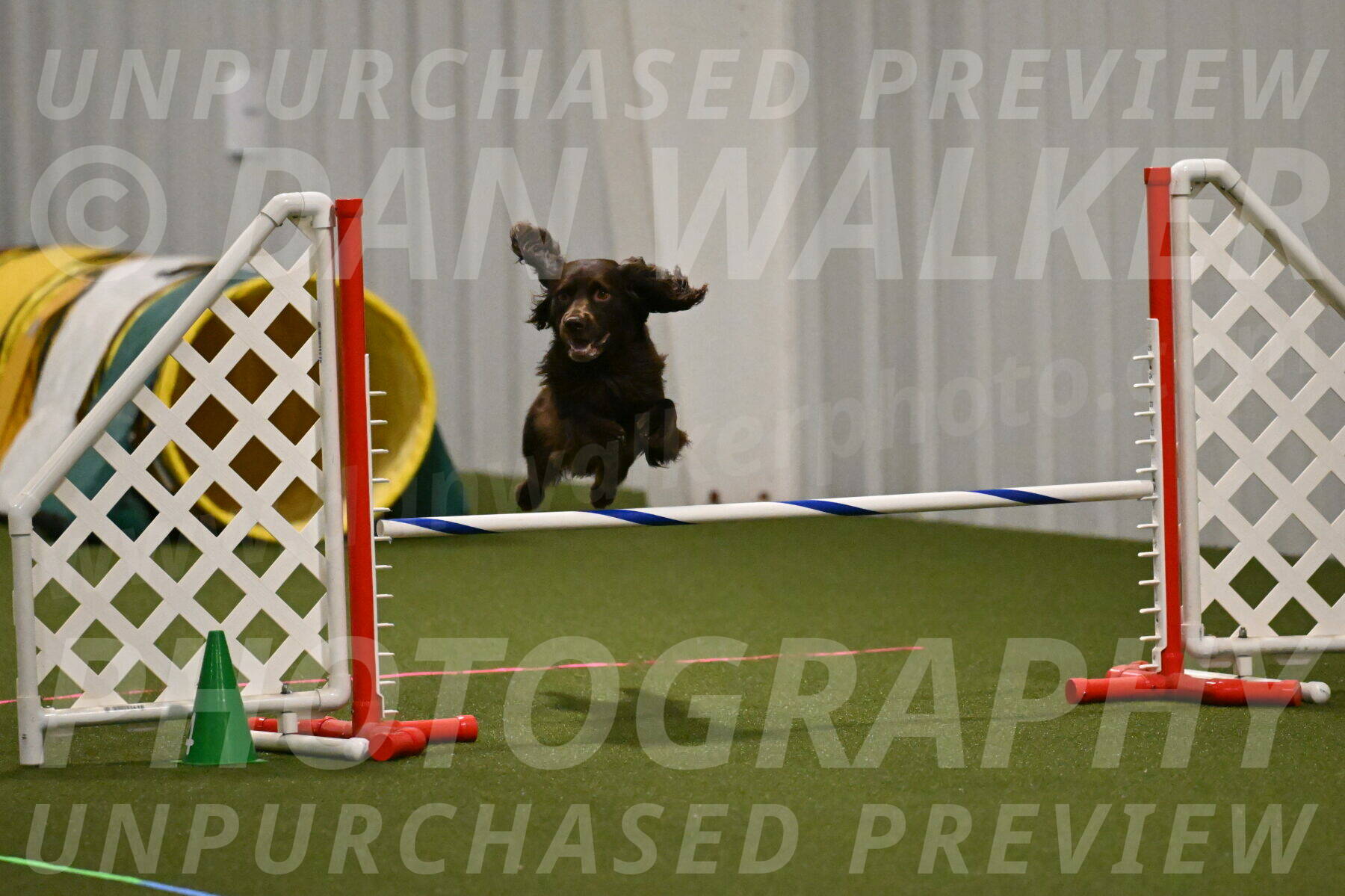 Gus-Jessica-Kotuba-09840