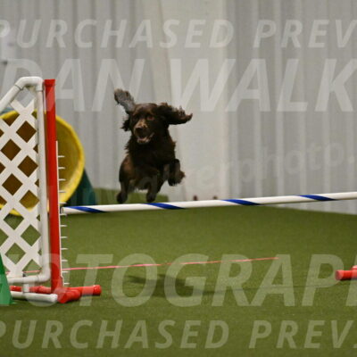 Gus-Jessica-Kotuba-09840