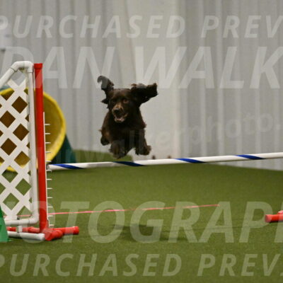 Gus-Jessica-Kotuba-09841