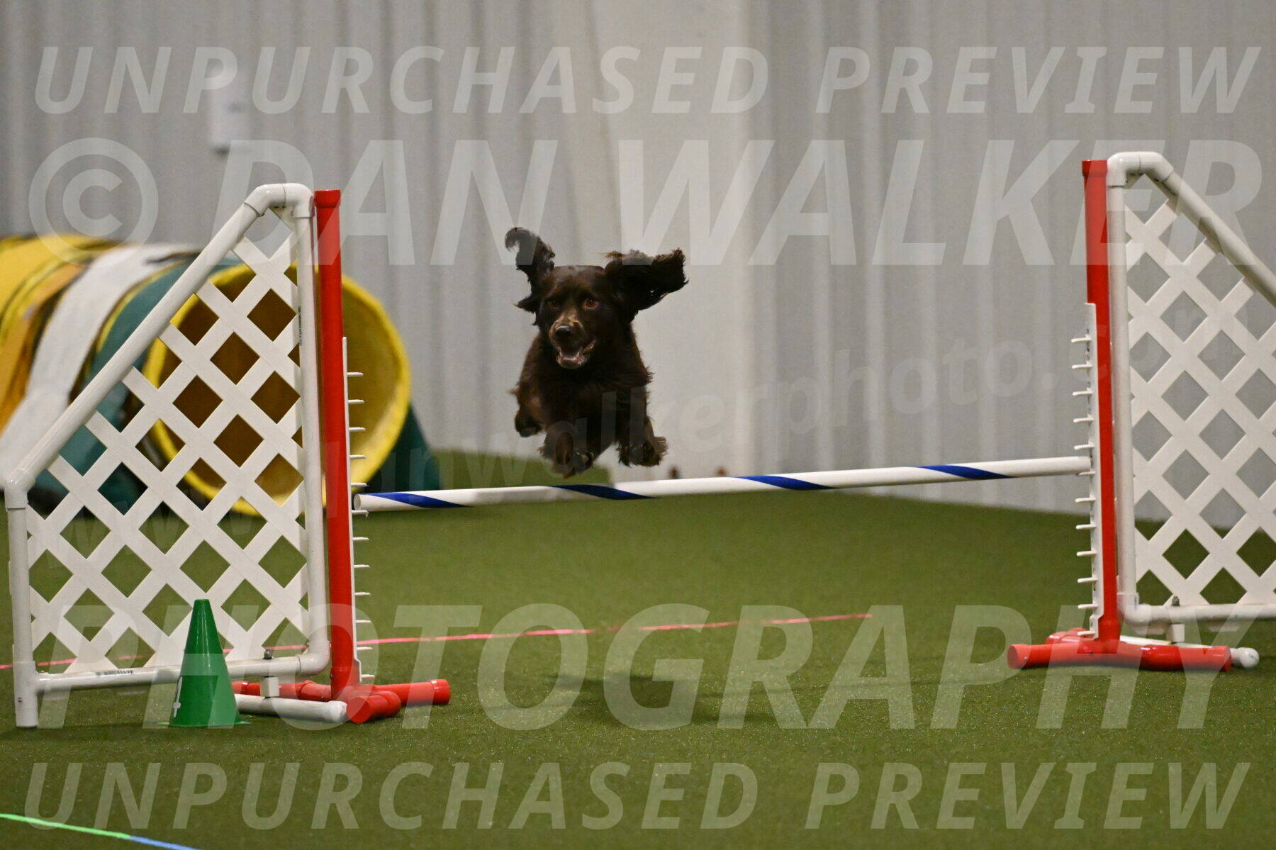 Gus-Jessica-Kotuba-09841