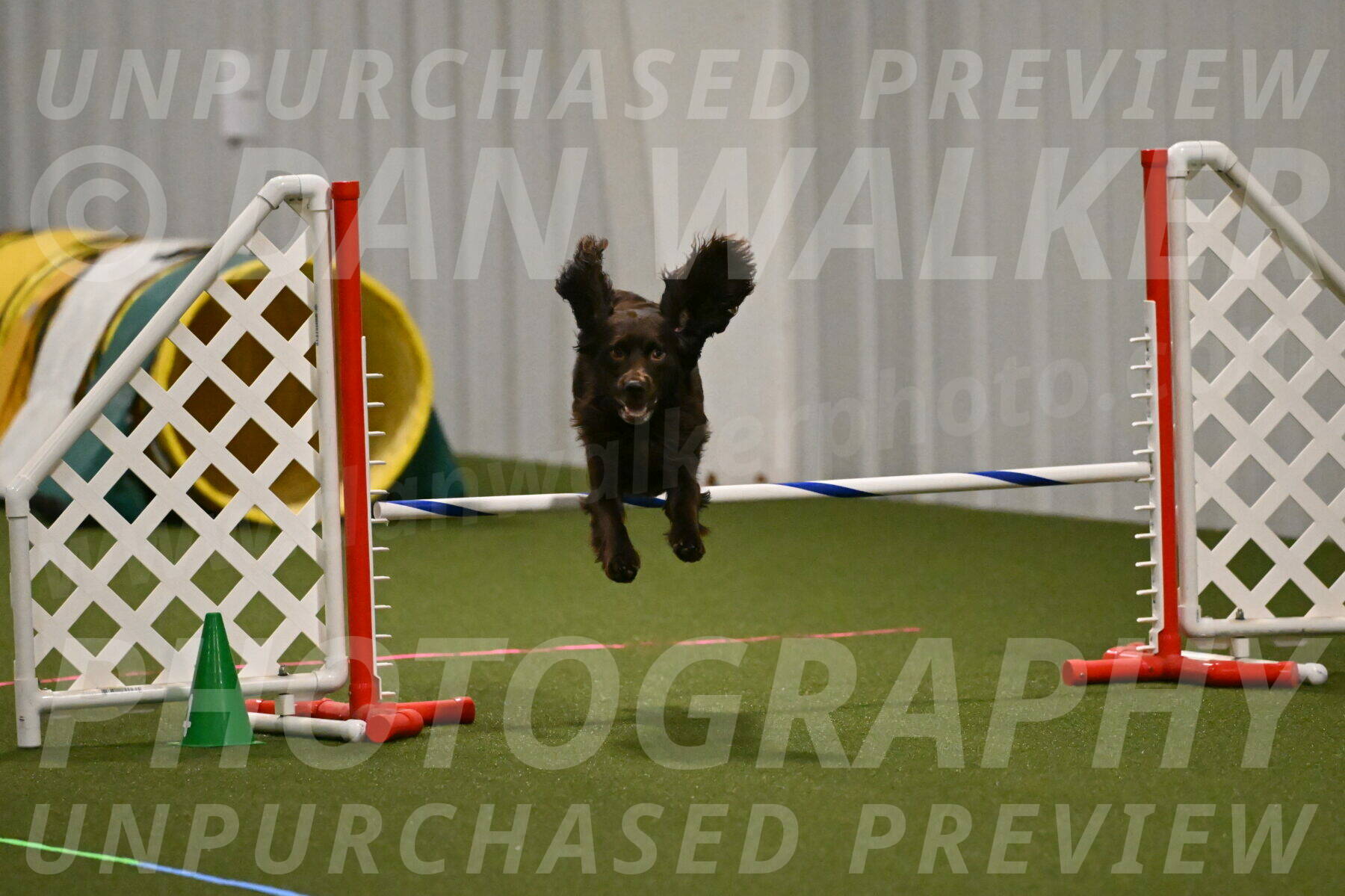 Gus-Jessica-Kotuba-09842