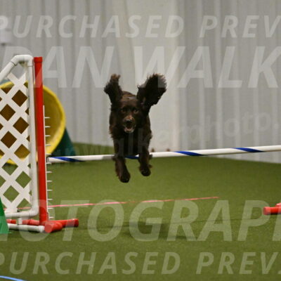 Gus-Jessica-Kotuba-09842