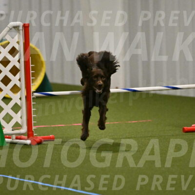 Gus-Jessica-Kotuba-09843