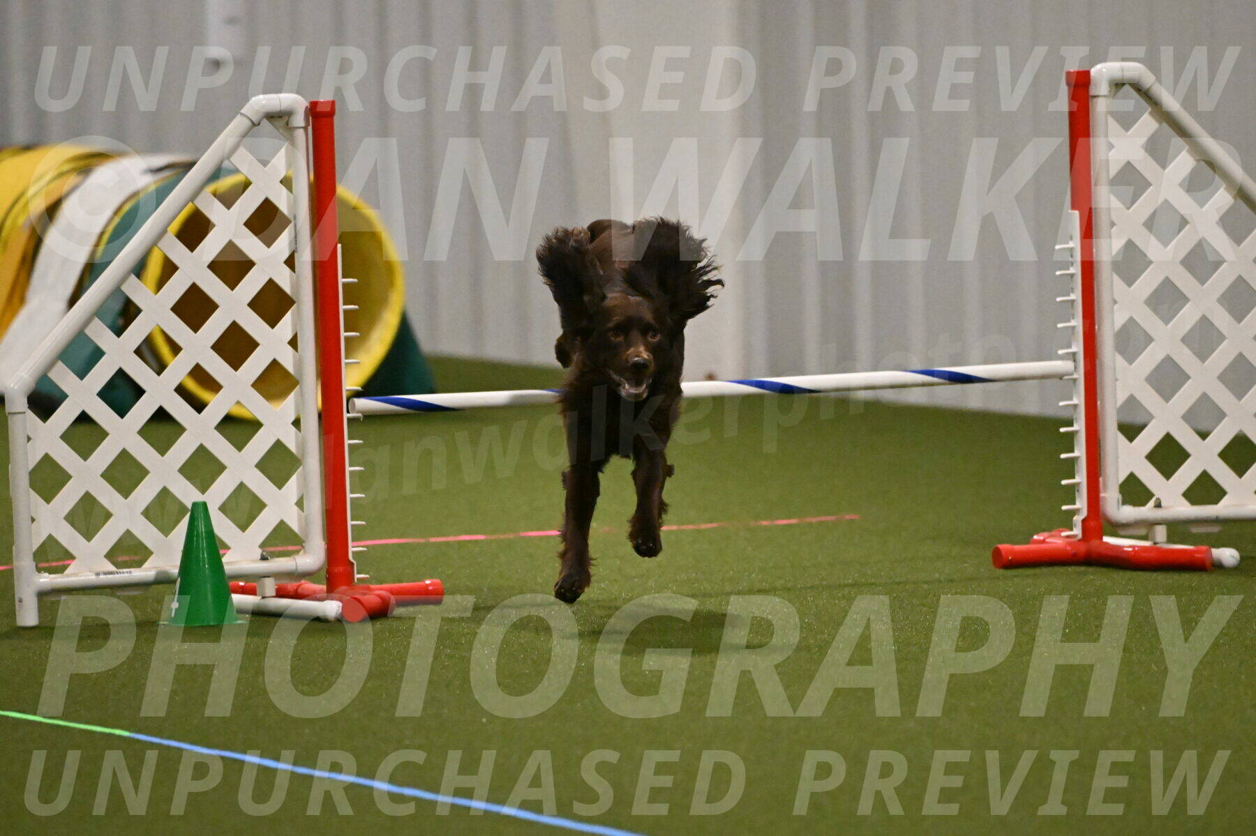 Gus-Jessica-Kotuba-09843