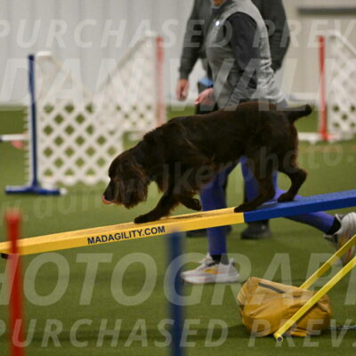 Gus-Jessica-Kotuba-09844