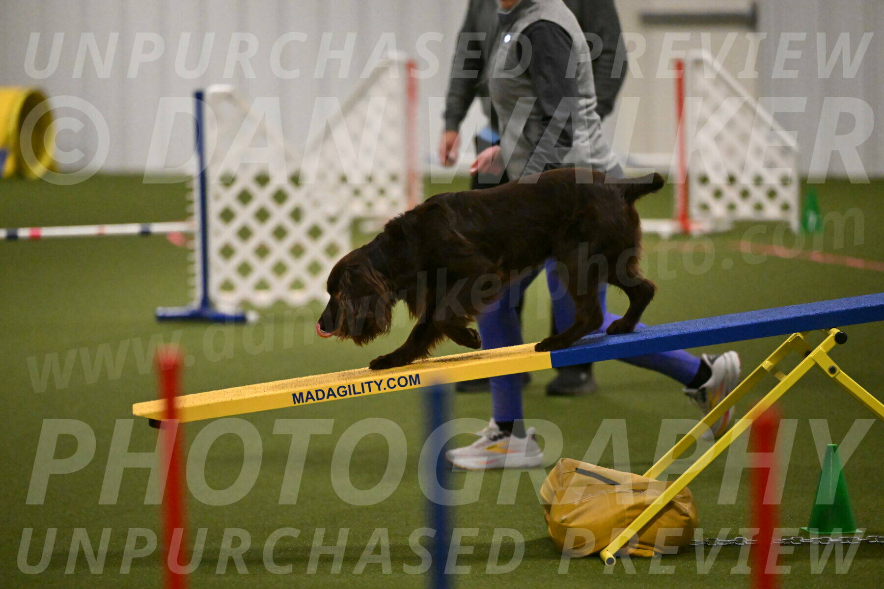 Gus-Jessica-Kotuba-09844