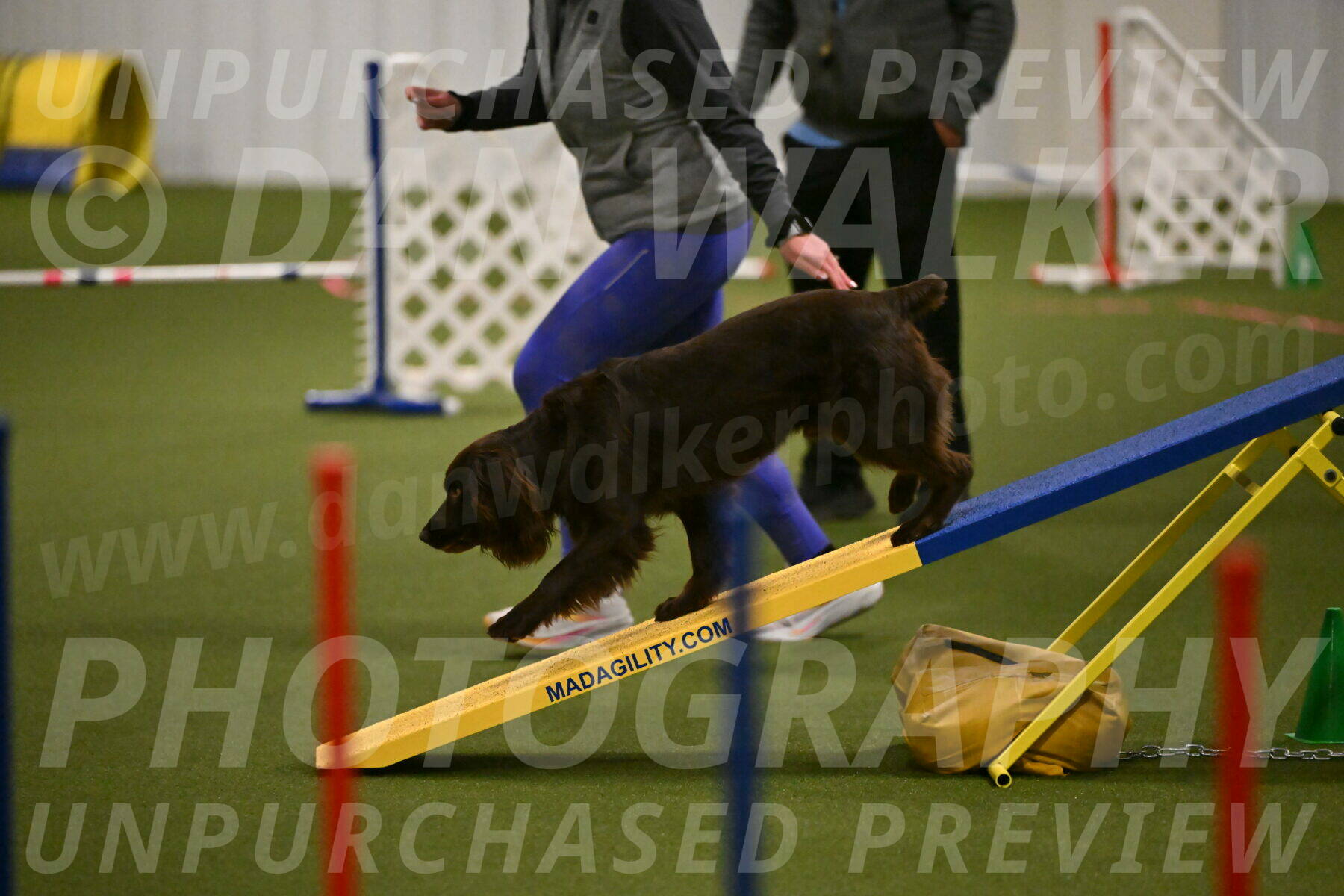 Gus-Jessica-Kotuba-09845