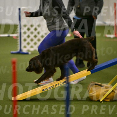 Gus-Jessica-Kotuba-09845