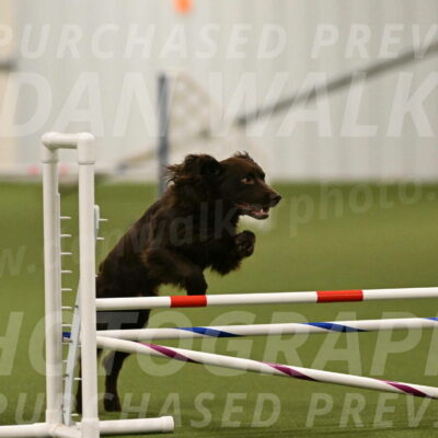 Gus-Jessica-Kotuba-09846