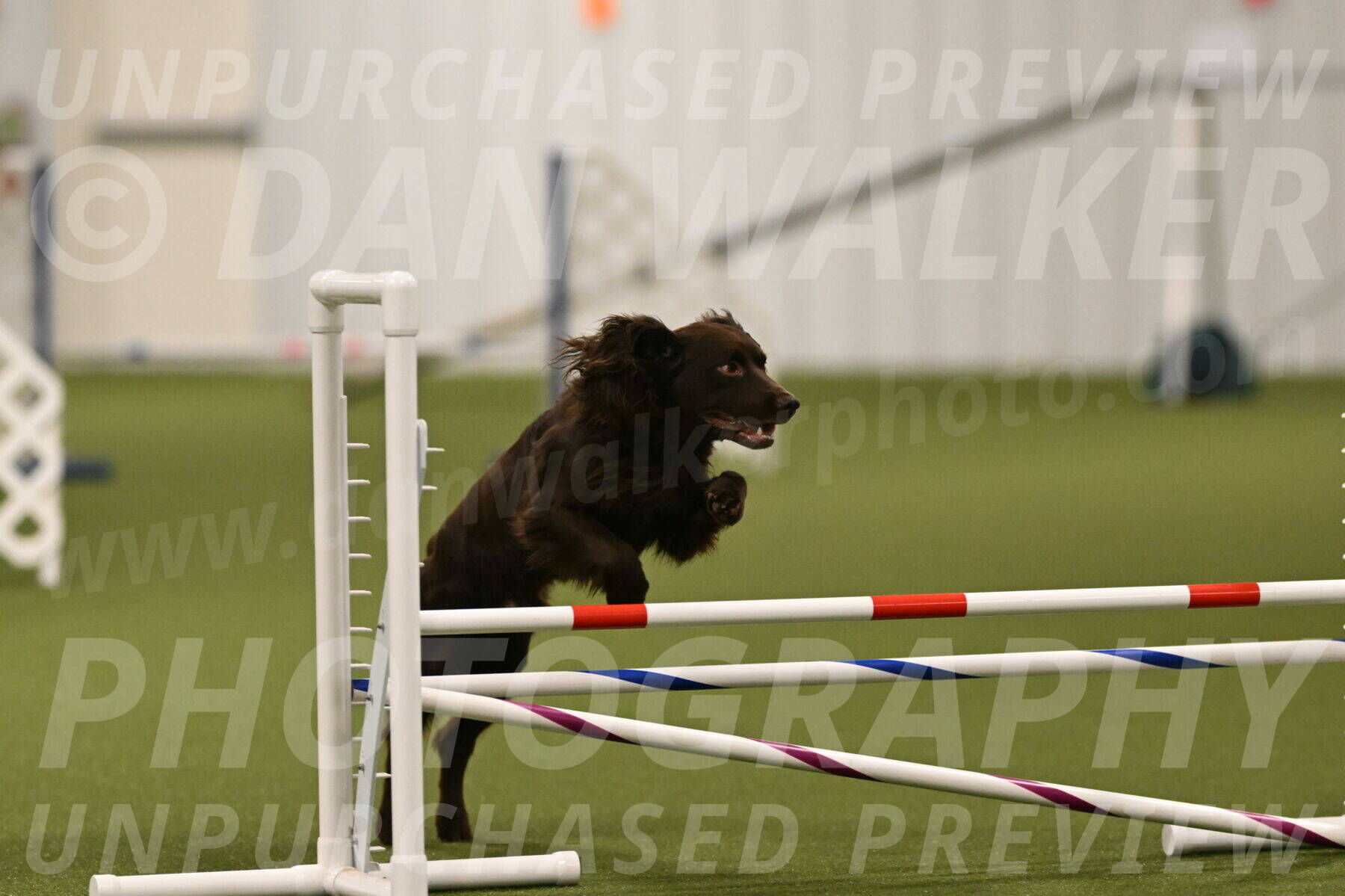 Gus-Jessica-Kotuba-09846