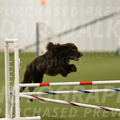 Gus-Jessica-Kotuba-09847