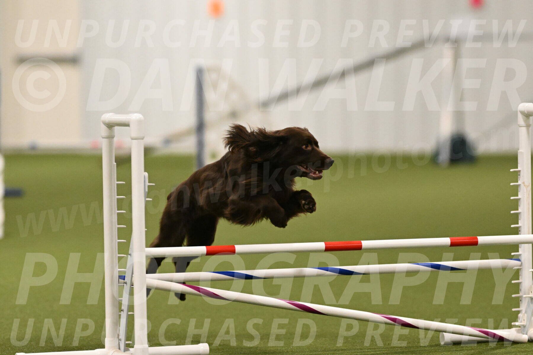 Gus-Jessica-Kotuba-09847