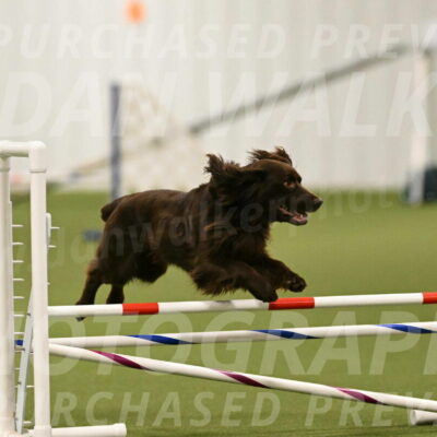 Gus-Jessica-Kotuba-09848