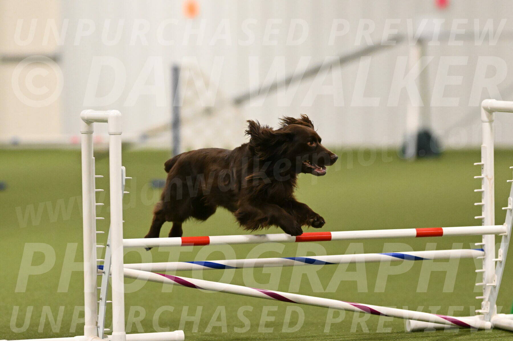 Gus-Jessica-Kotuba-09848