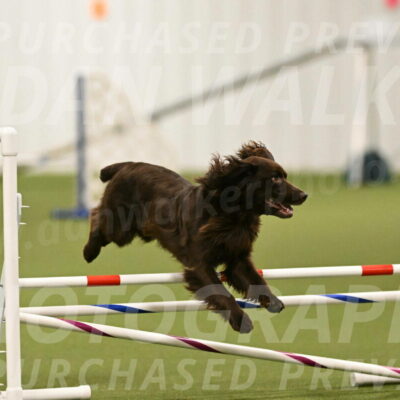 Gus-Jessica-Kotuba-09849