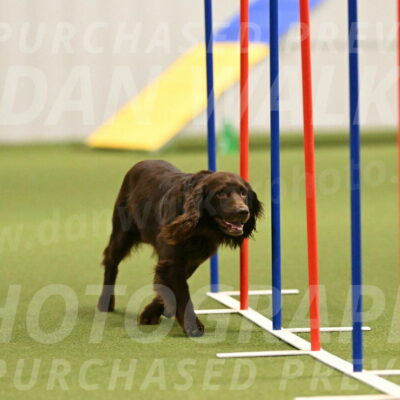 Gus-Jessica-Kotuba-09850