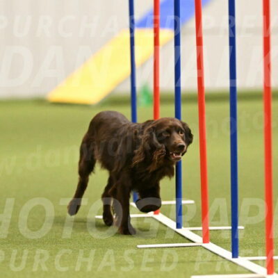 Gus-Jessica-Kotuba-09851