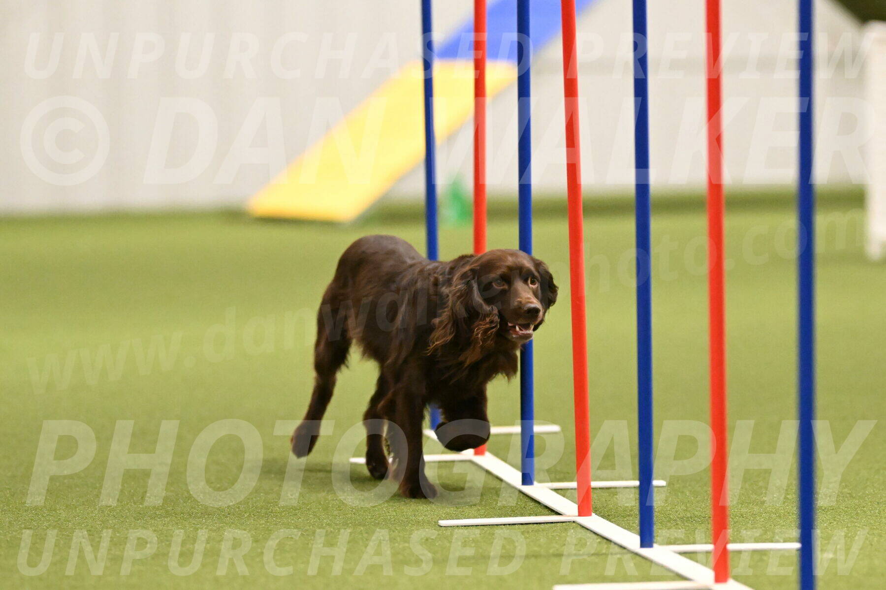 Gus-Jessica-Kotuba-09851