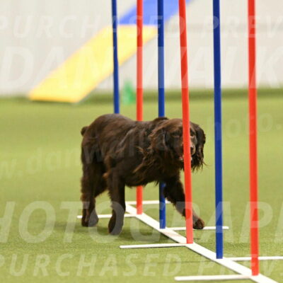 Gus-Jessica-Kotuba-09852