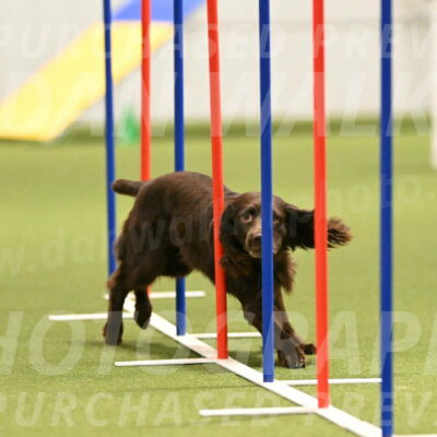 Gus-Jessica-Kotuba-09853