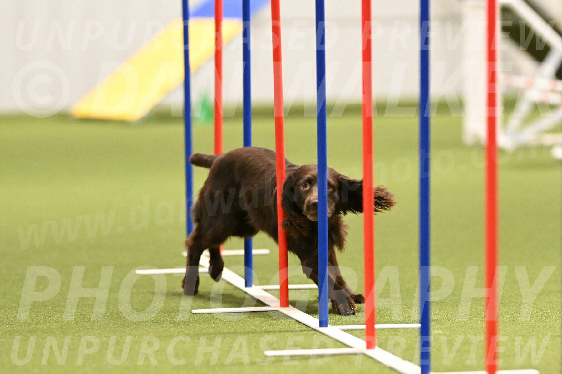 Gus-Jessica-Kotuba-09853