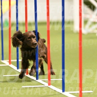 Gus-Jessica-Kotuba-09855