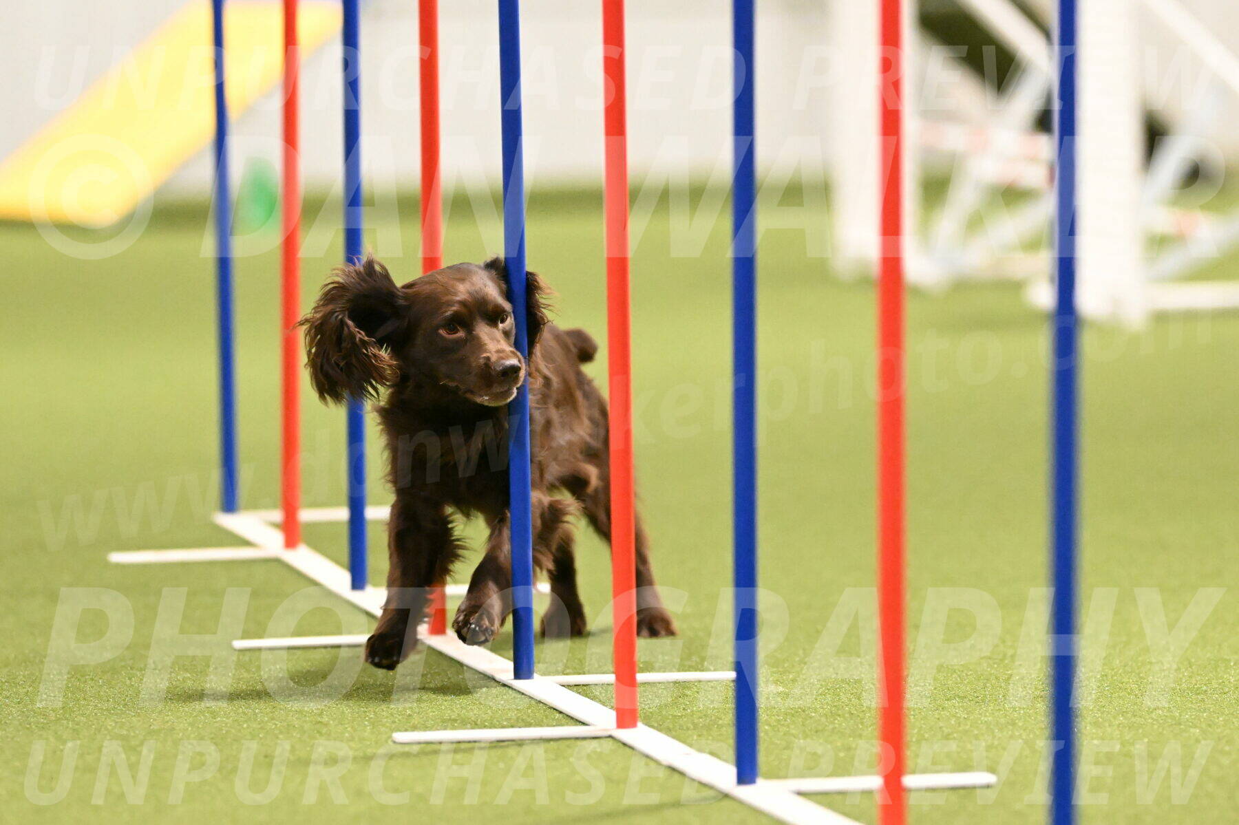 Gus-Jessica-Kotuba-09855