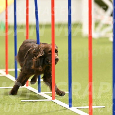 Gus-Jessica-Kotuba-09856