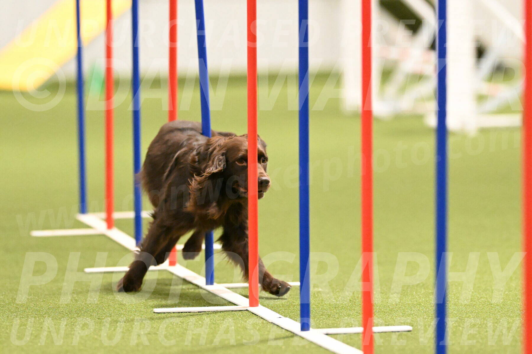 Gus-Jessica-Kotuba-09856