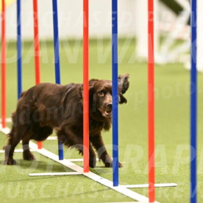 Gus-Jessica-Kotuba-09857