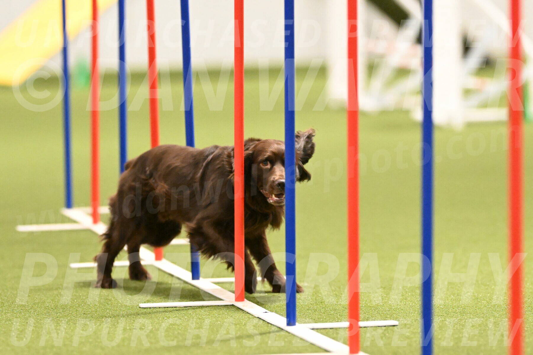 Gus-Jessica-Kotuba-09857