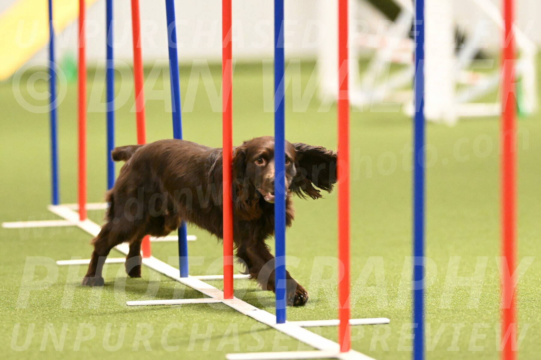 Gus-Jessica-Kotuba-09858